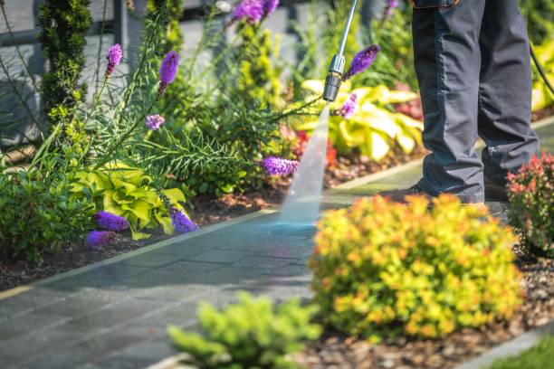  Zumbrota, MN Pressure Washing Pros